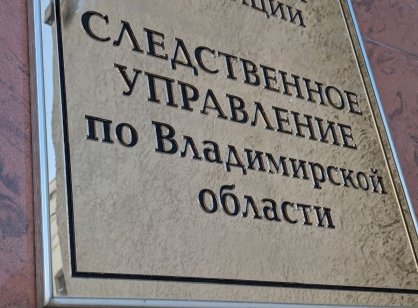 В Коврове возбуждено уголовное дело об убийстве малолетнего